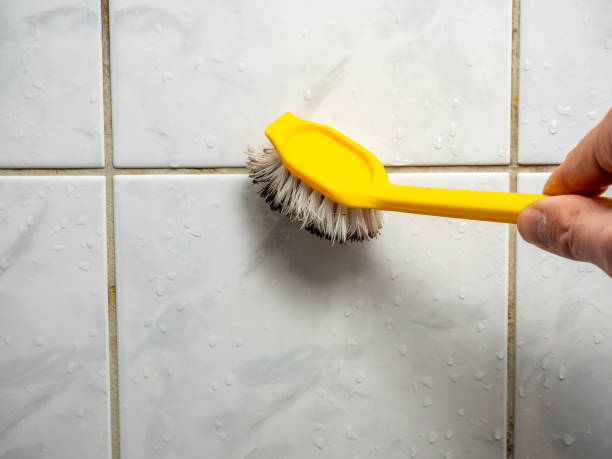 Best Professional Mold Removal  in Newport News, VA