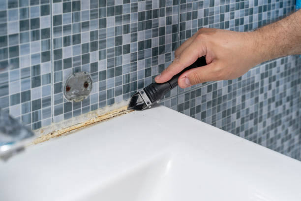Best Mold Testing  in Newport News, VA