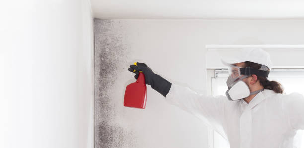 Best Mold Cleaning Services  in Newport News, VA
